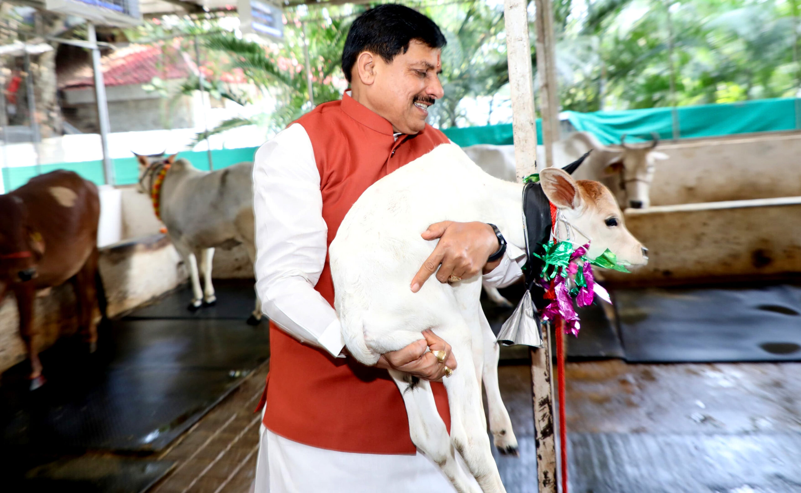 ” दुग्ध उत्पादन से दोगुनी होगी किसानों की आय : मुख्यमंत्री ”                  डॉ. यादव प्रदेश में चलाया गया दुग्ध समृद्धि सम्पर्क अभियान , गोवर्धन पर्व परंपरागत रूप से मनाया जाएगा